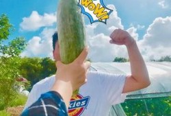 娱乐吃瓜718网红瓜,娱乐吃瓜盛宴，揭秘网红圈幕后故事