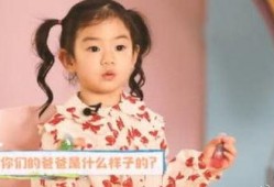 吃瓜小娱乐儿,揭秘娱乐圈幕后故事