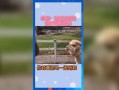 娱乐吃瓜群众歌曲有哪些