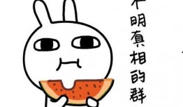 娱乐吃瓜小象微博叫什么,揭秘“娱乐吃瓜小象”微博背后的故事