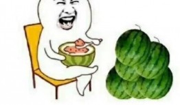 娱乐圈吃瓜的素材