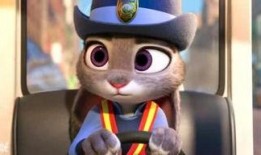 娱乐朱迪吃瓜,娱乐圈幕后大揭秘