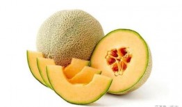 娱乐吃瓜名字怎么取的,揭秘“娱乐吃瓜”名字背后的趣味与智慧