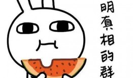 陌生人的善意娱乐吃瓜酱,陌生人的暖心互动，带你领略人间真情