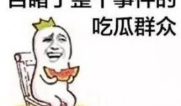 娱乐吃瓜开场白怎么说,揭秘明星幕后故事，吃瓜群众狂欢时刻