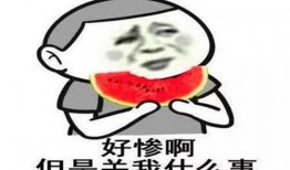 娱乐吃瓜酱是怎么表现的