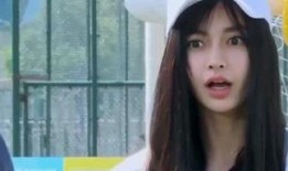 娱乐吃瓜酱金子,揭秘娱乐圈背后的故事与真相