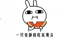 娱乐吃瓜酱自闭孙子,揭秘背后的感人故事